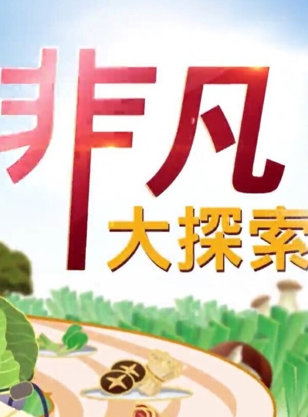 网约清纯可爱学生妹，身材纤细A4腰大长腿，后入超级爽 - 51探花